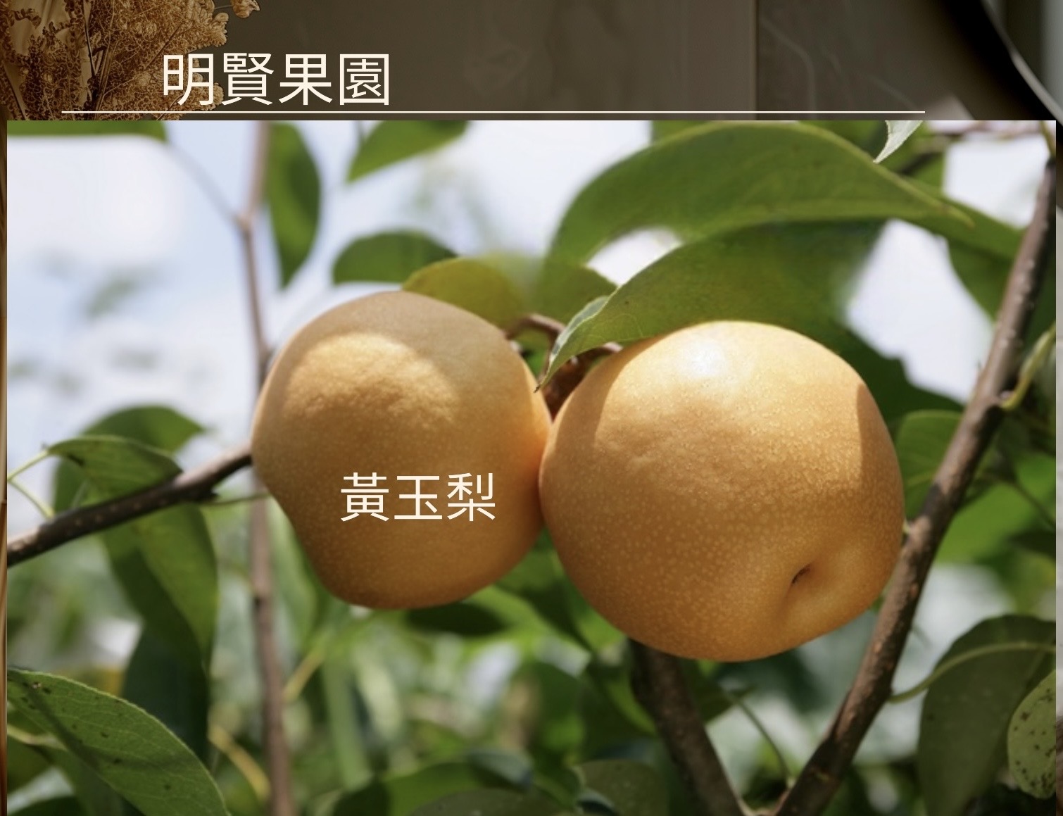 2CA3CA03-AE9F-4AD7-94B5-58BA3418299B.jpg