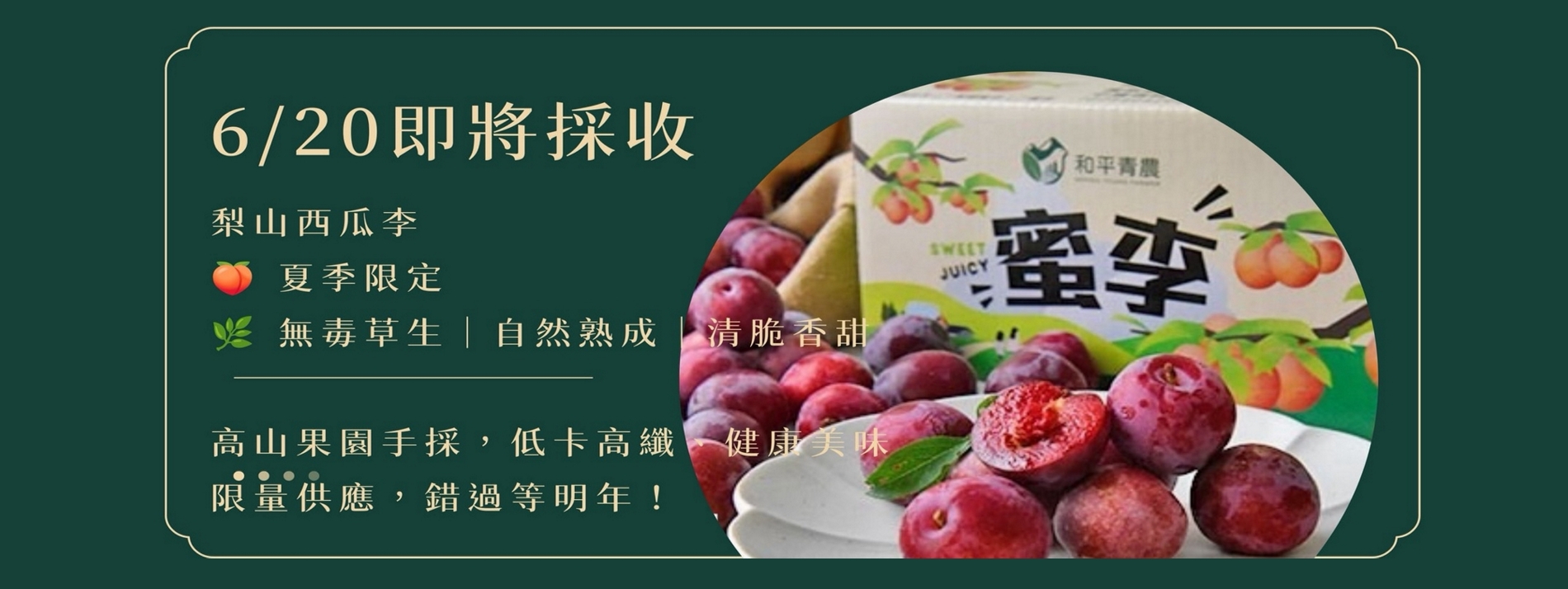 西瓜李banner.jpeg