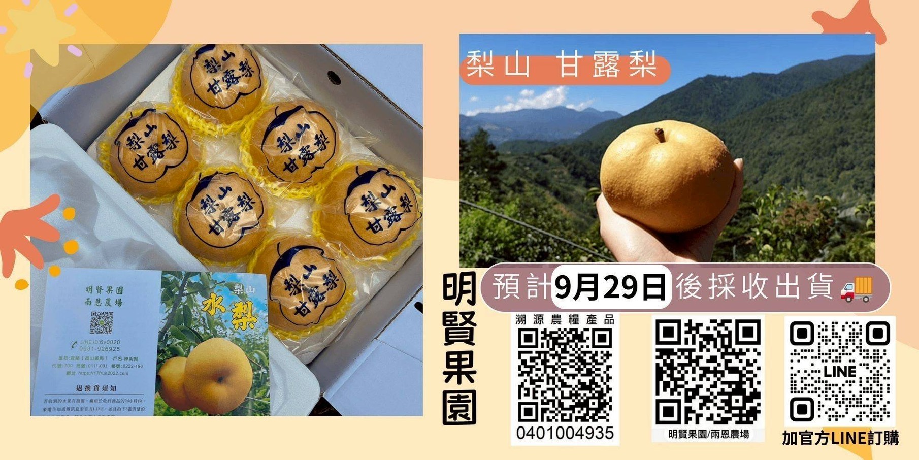 S__117489716.jpg