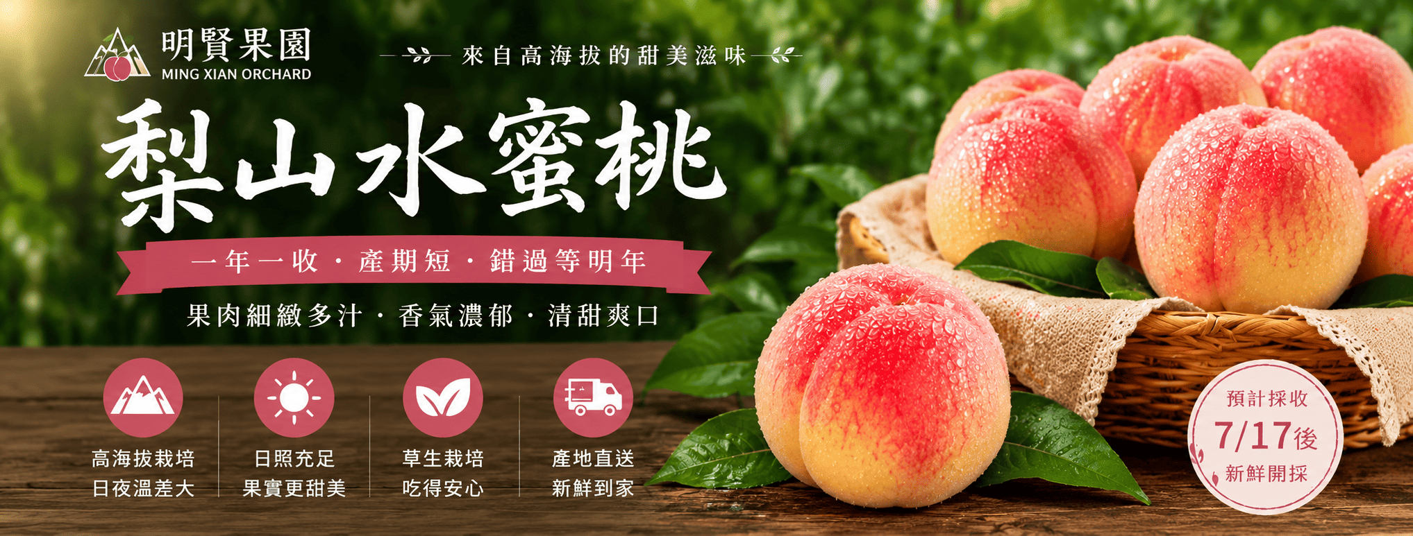 74532501-E418-4875-9C21-D682EEAE7C3B (1).png